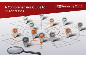 A Comprehensive Guide to IP Addresses