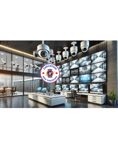 IP Video Systems