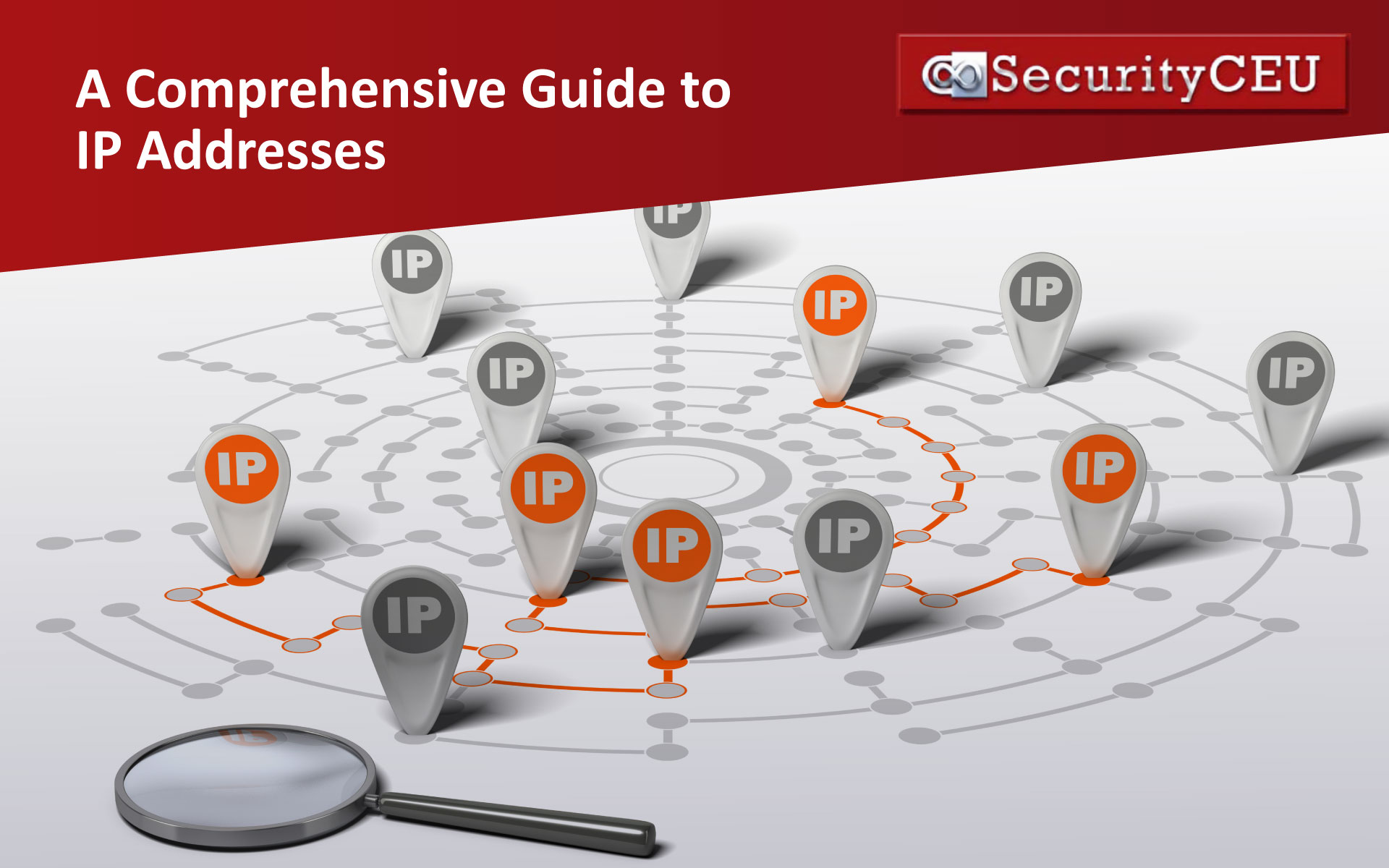 A Comprehensive Guide to IP Addresses